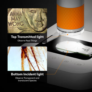 Matatastudio MX2-AS Digital Microscope - Matatalab